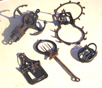 RatTrap6.jpg