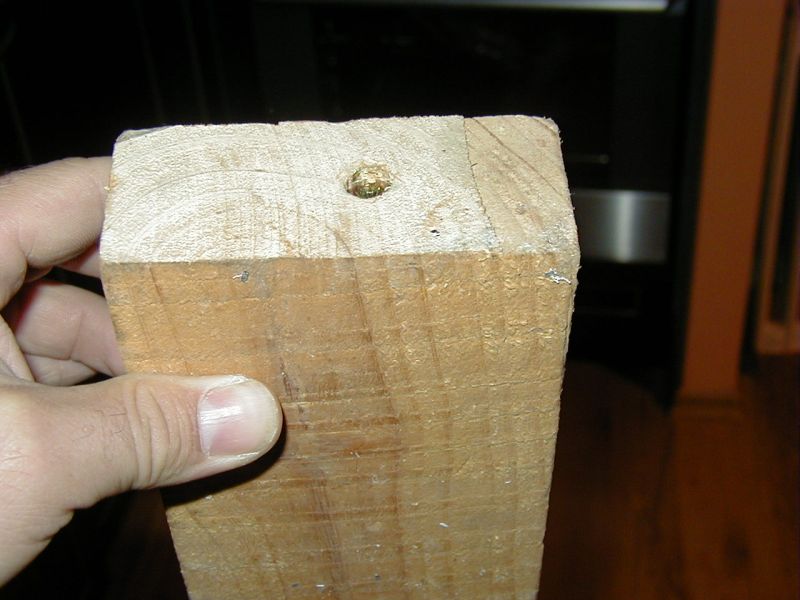 P11.jpg