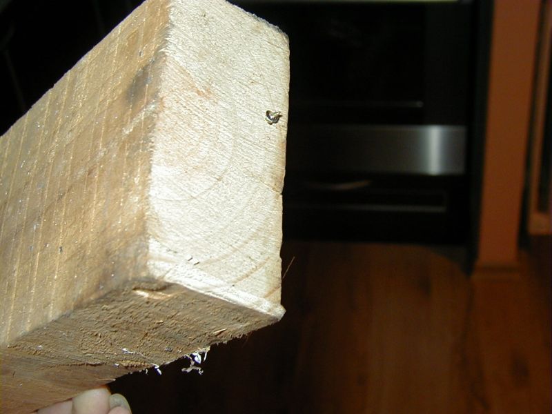 P12.jpg