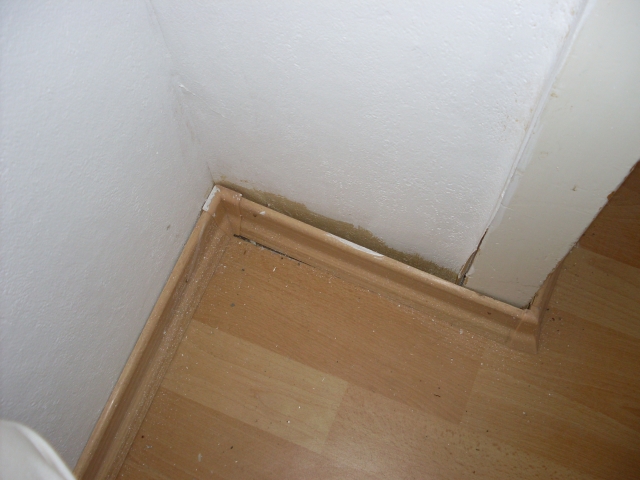 SDC10796.JPG