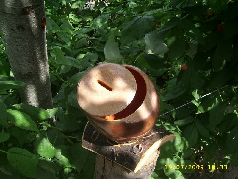 SSA56138.JPG