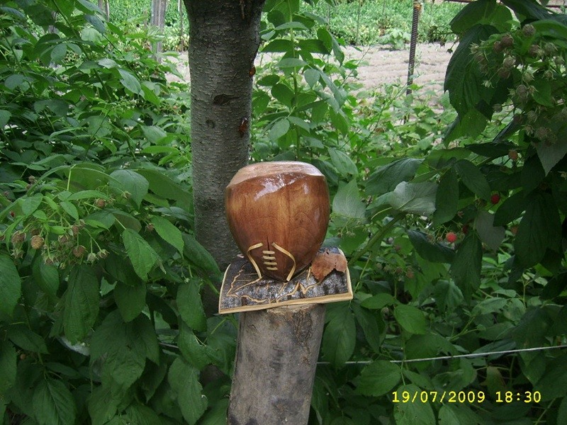SSA56130 2.JPG
