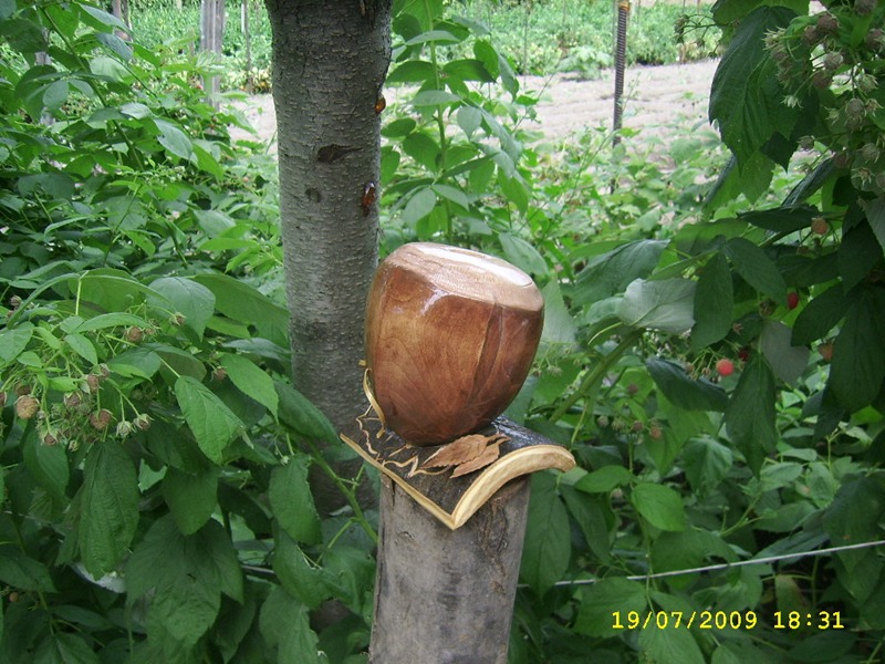 SSA56131 2.JPG