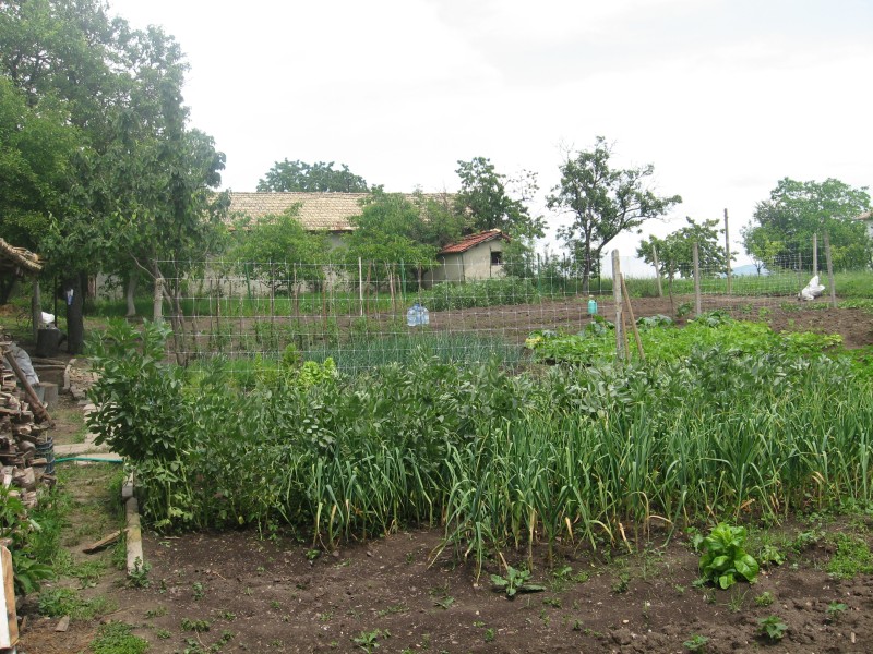gradina.jpg