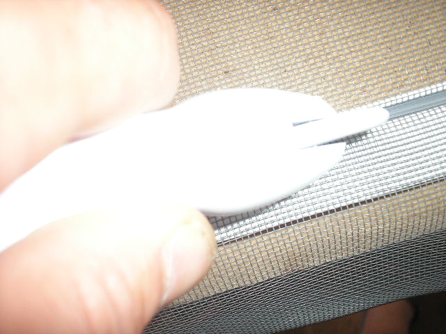 P6190014.JPG