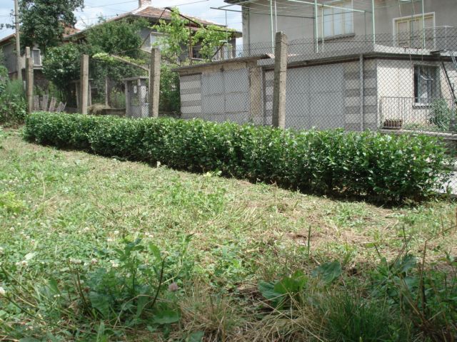 DSC06480_1.JPG