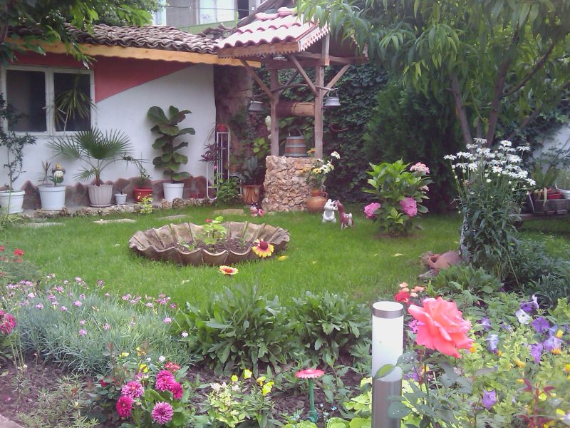 IMAG008.jpg