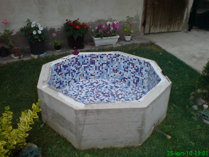dsc00408.jpg