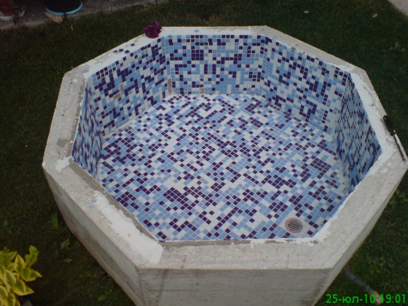 dsc00409.jpg
