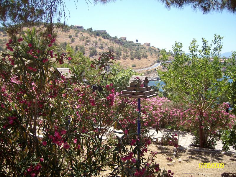 ALIM1152.jpg
