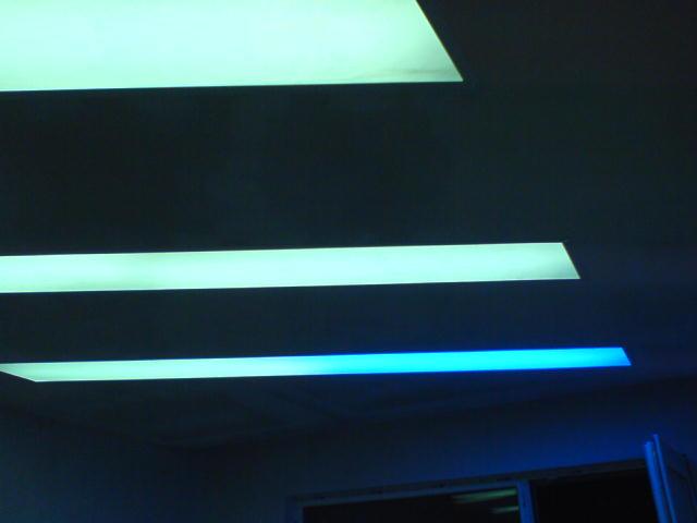 DSC00134.JPG