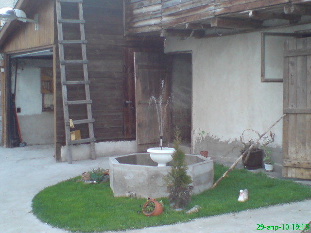 dsc00319.jpg