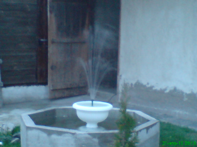 dsc00318.jpg