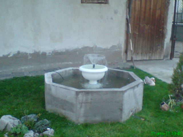 dsc00317.jpg