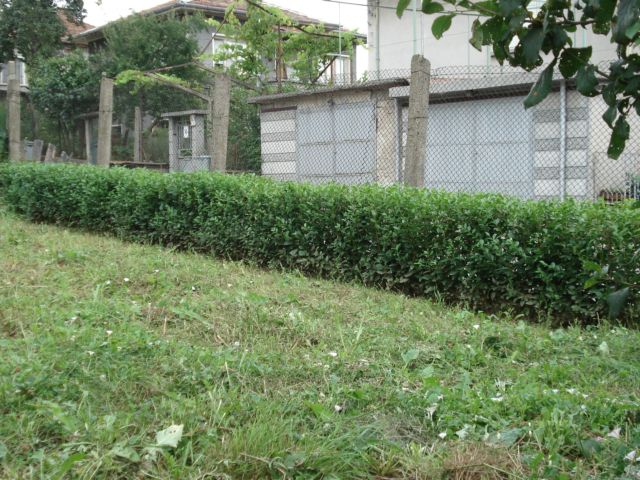 DSC06844_1.JPG