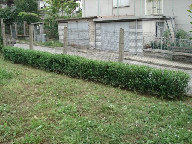 DSC06843_1.JPG