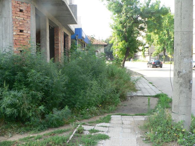 P1230824.jpg