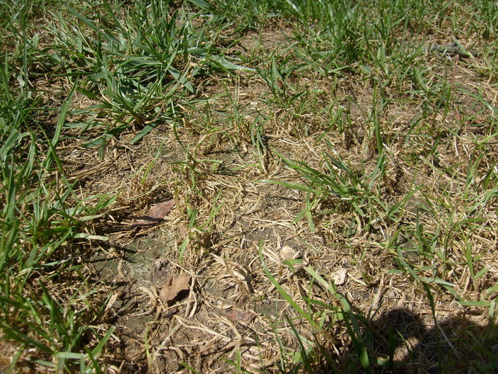 S6303164.JPG