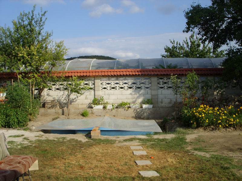 SS853179.JPG