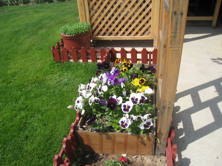 gradina 2010-1.jpg
