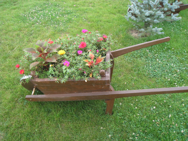 gradina 2010 12.jpg