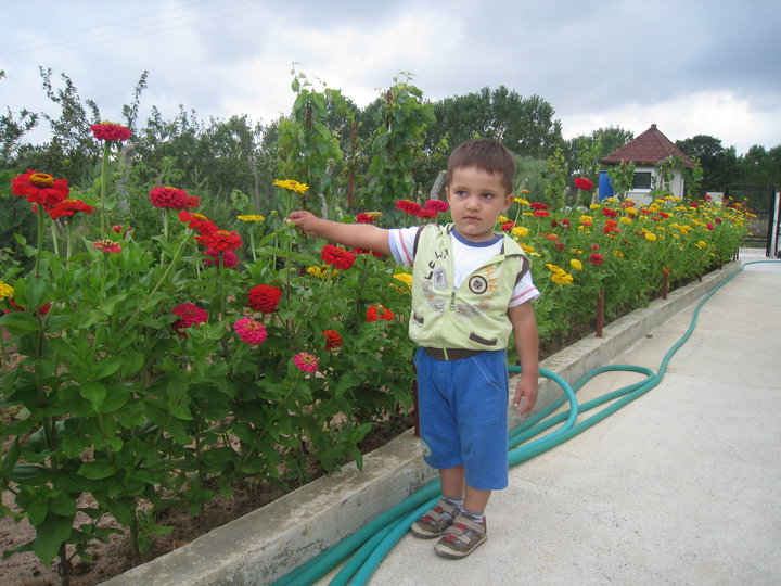 gradina 2010 9.jpg