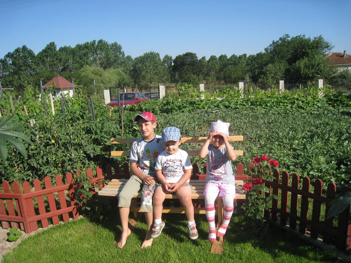 gradina 2010 8.jpg