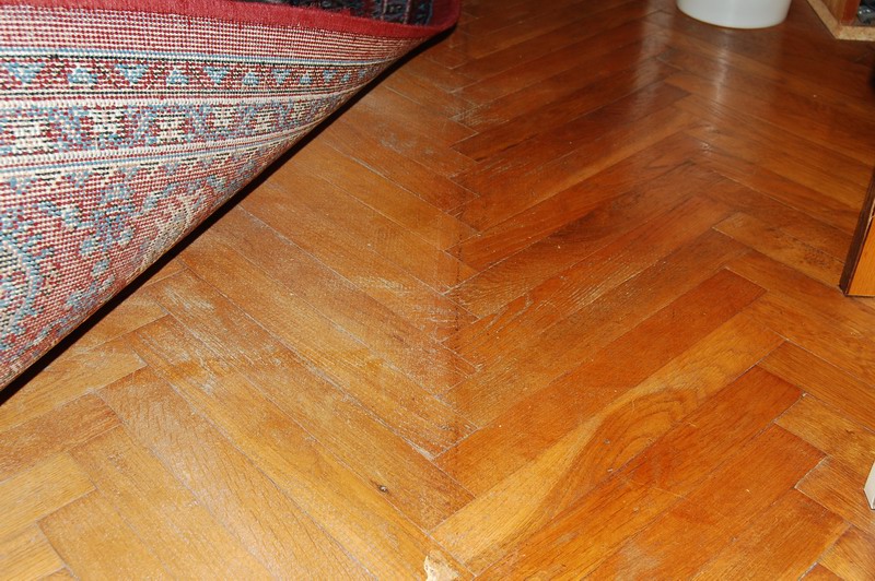 DSC_9201_resize.JPG