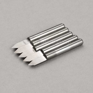 356745606_tp.jpg
