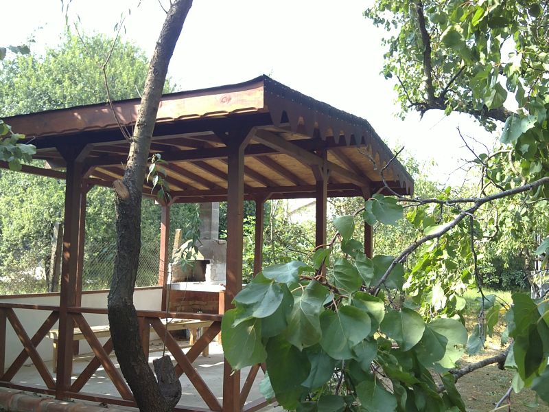 31082010031.jpg