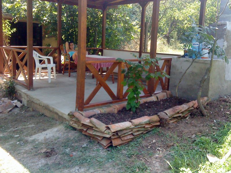 DSC01594.jpg