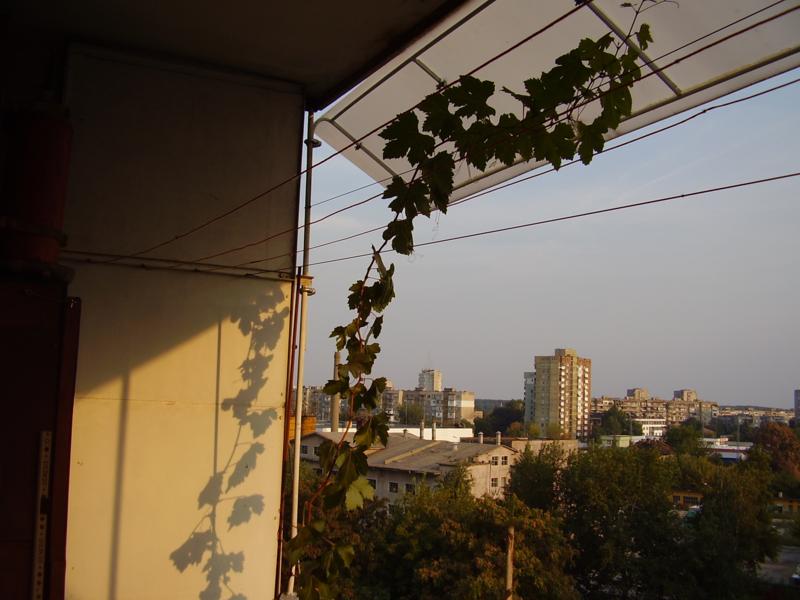 P9160198_800x600.jpg