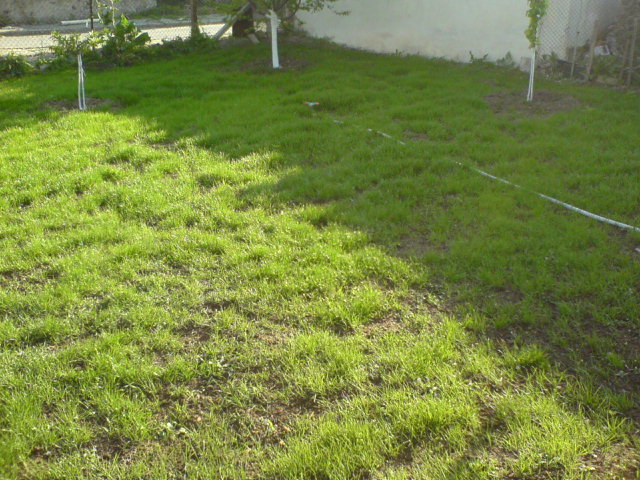 DSC00211.JPG
