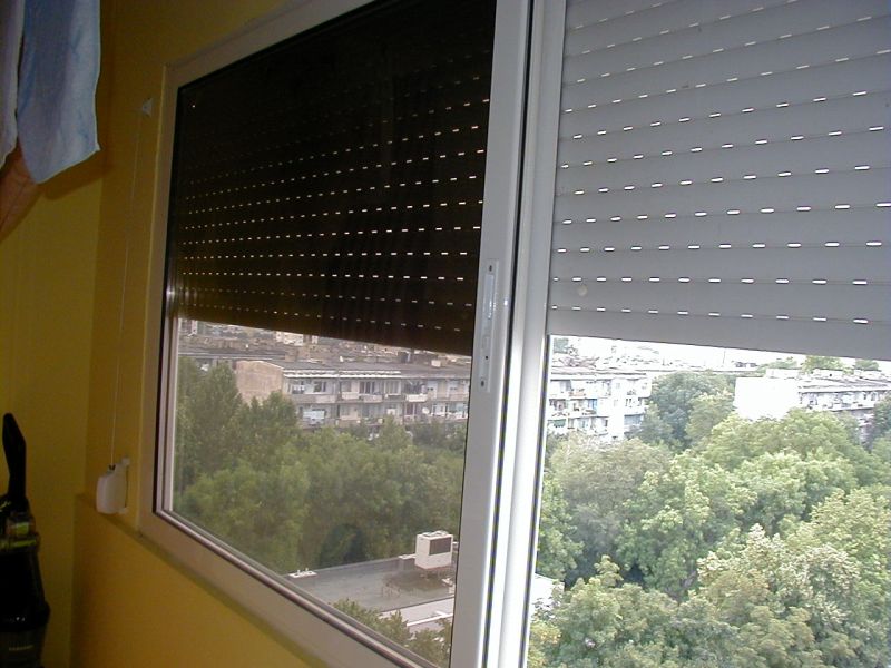 P1010010.jpg