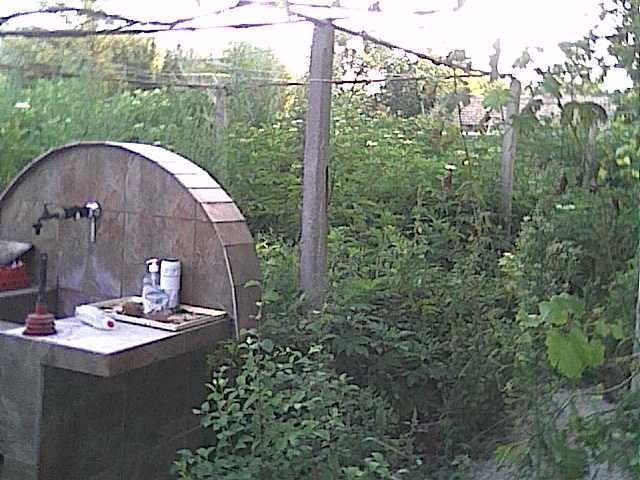 Cam000164.jpg