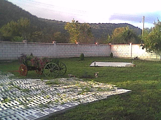 Cam000166.jpg
