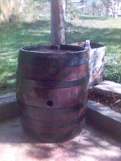 Picture(99).jpg
