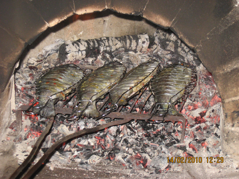 Picture 071.jpg