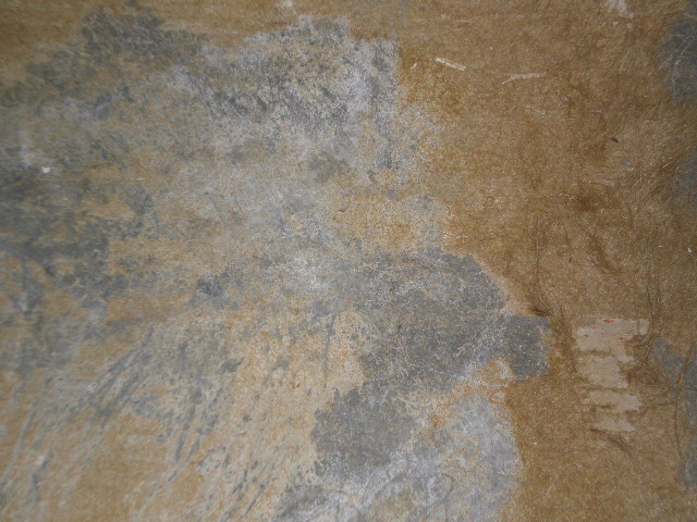 PA240019.JPG