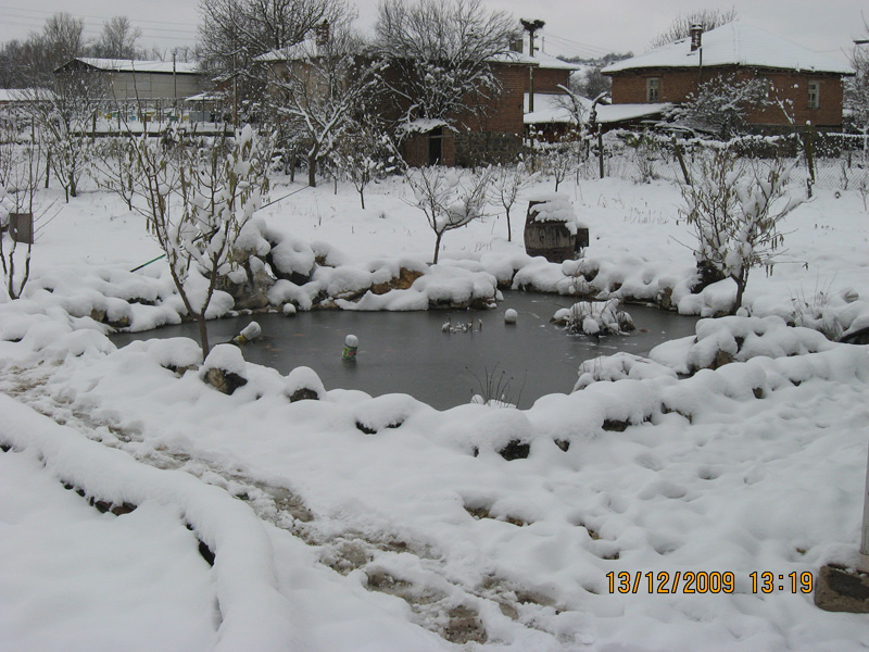 Picture 331-1.jpg