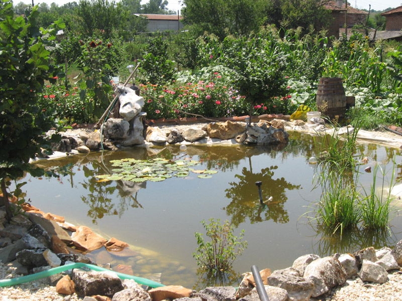 Picture 237-1.jpg