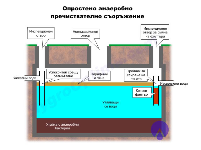 anaerobic.jpg