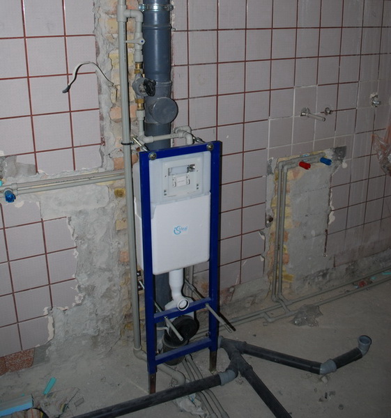 DSC_4131_1.jpg