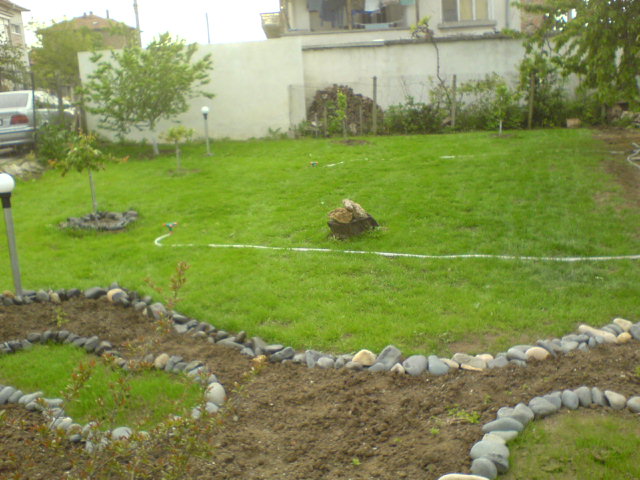 DSC00029.JPG