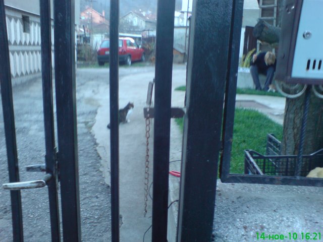 dsc00459.jpg