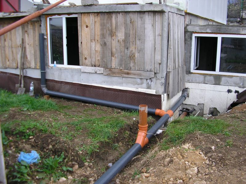 P1010042.jpg