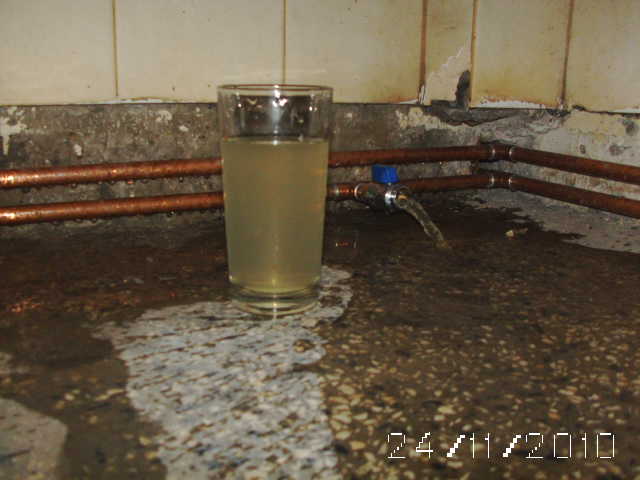 Picture 018.jpg
