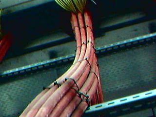 07-04-06_1457.jpg