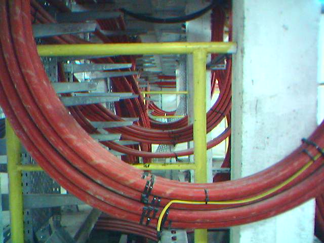 07-04-06_1557.jpg