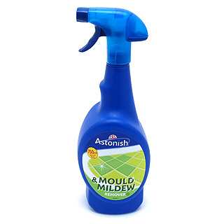 Mould_Mildew.jpg